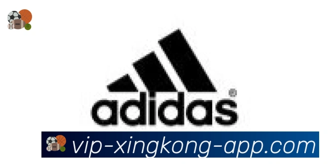 星空体育官网合作伙伴